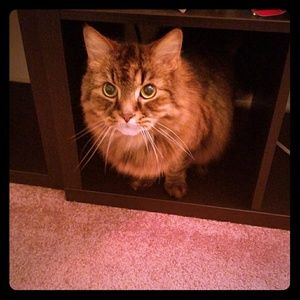 Meet your Posher, Arren